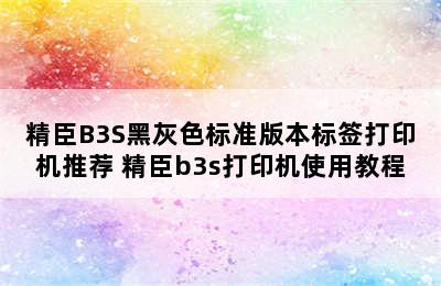 精臣B3S黑灰色标准版本标签打印机推荐 精臣b3s打印机使用教程